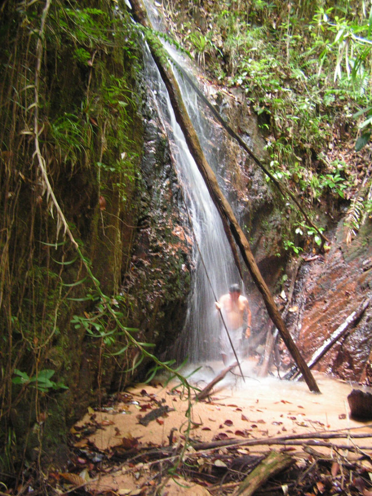 au Moluques - cascade en forêt à Sula